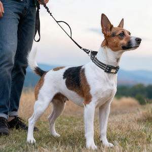 Collares de nailon con logotipo personalizado para perros, collar reflectante ajustable para mascotas con placa de nombre grabada, collares básicos duraderos para el cuello de gato - Product Image 1