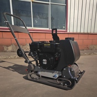 Compacteur à plaque vibrante Ruigong Wacker 5,5 CV avec moteur Honda, haute efficacité, 90 kg, certifié CE