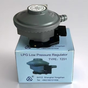 ผู้ผลิตในจีน ขายส่งตัวควบคุมแก๊ส LPG โลหะผสมสังกะสี ได้รับการรับรอง CGAS 0-20 บาร์ รับประกัน 3 ปี - Product Image 4