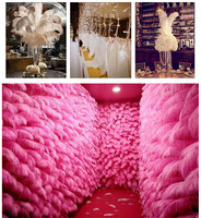 Grandes Plumes d'Autruche Blanches pour Carnaval, Festivals, Mariages, Décorations de Fête, Fourniture Naturelle en Gros, Vente Pas Chère, Motif Lavé