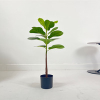 Arbre artificiel en feuilles de figuier de Java |   Ficus Lyrata artificiel en pot |   Plusieurs tailles |   Plante décorative d'intérieur