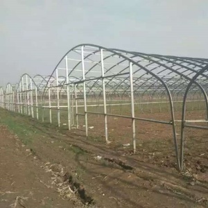 Large Plastic <strong>Poly</strong> Film Agriculture Greenhouse Low <strong>Cost</strong> High <strong>Tunnel</strong> for Growing Vegetables Hydroponic Agriculture Greenhouse - Product Image 1