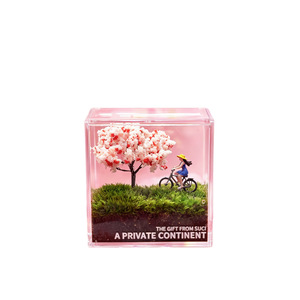 Miniatura de Bicicleta y Chica en Césped, Paisaje en Miniatura, Planta en Maceta para Oficina/Escritorio, Vegetación Creativa, Regalo para Personas Perezosas - Product Image 5