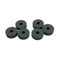 Rouleau de développement FB6-5892-000 FF5-9939-000 pour Canon IR 5000 5020 5055 5065 5075 5570 6570 – Pièce de rechange pour copieur et imprimante