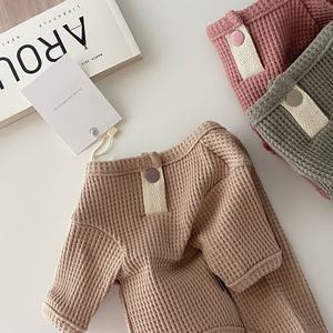 Nouveau T-shirt polyvalent automne/hiver 2025 pour chiens, chats, ours en peluche, Yorkshire, Bobmy, petits chiens, vêtements pour animaux de compagnie - Product Image 3