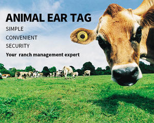 תג אוזן כפתור UHF RFID באיכות גבוהה גידול בעלי חיים משק בית מסלולים ספירות פרות בקר כבשים לבעלי חיים - Product Image 6