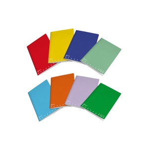 PIGNA - CARNET MAXI MONOCHROME 50 FEUILS A4 CARREAUX ASSORTIS - Product Image 1