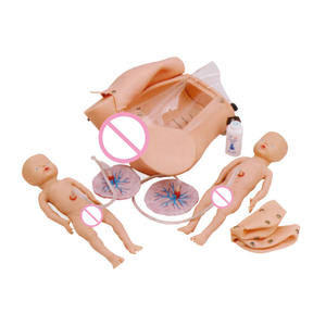 Livraison avancée Mécanisme D'<span class=keywords><strong>enseignement</strong></span> L'accouchement Modèle de <span class=keywords><strong>Formation</strong></span> - Product Image 1