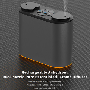 OEM Mini portátil de escritorio recargable Aroma difusor de doble boquilla aceite esencial nebulizador sin agua 5-10ml para hoteles - Product Image 1