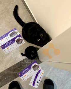 Immunodéficience féline/Corona/Calicivirus/<span class=keywords><strong>Test</strong></span> rapide d'antigène d'hépervirus Fpv Fcov Fhv fcv Fip Toxo Giardia <span class=keywords><strong>test</strong></span> pour la maladie des animaux de compagnie - Product Image 3