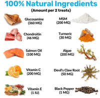 Private Label Supplément de friandises pour hanches et articulations pour chiens et chats avec glucosamine et MSM