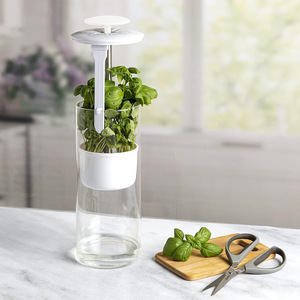Contenedor de Almacenamiento de Hierbas Moderno de Plástico para Cocina, Conserva <span class=keywords><strong>Cilantro</strong></span>, Menta, Perejil y Espárragos Frescos, Tamaño Grande - Product Image 4