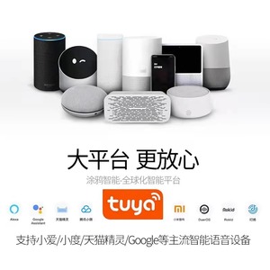 Smart Switch Module Voice Control Tuya System Universal Lighting Retrofit Device - Product Image 2