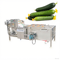 Automatische Saffraanreinigingsmachine Kruidenwasapparatuur