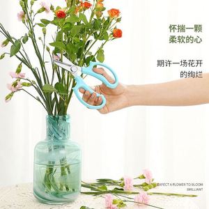 Ciseaux de jardinage en acier inoxydable de haute qualité, ciseaux de fleuriste colorés, ciseaux floraux, outils de taille de fleurs pour le jardinage - Product Image 4