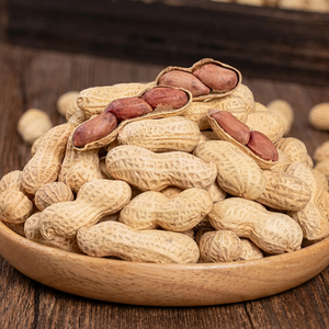 Cacahuetes Fritos Dulces de Fábrica, Sabores Variados, Caja de Regalo Personalizada, OEM, Visita a la Fábrica Disponible, Panadería de Supermercado, B2B - Product Image 1