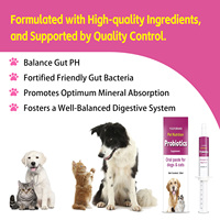 Pâte de gel probiotique nutritionnelle à marque privée à absorption rapide et riche en protéines pour chiens et chats - Santé digestive et cutanée
