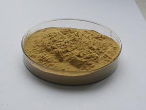 インセンサプライバナバ抽出物コロソリン酸粉末コロソリン酸 - Product Image 3