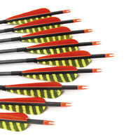 Flèches en carbone à motif zèbre rouge et jaune Pinals avec plumes de dinde pour la chasse et le tir sur cible