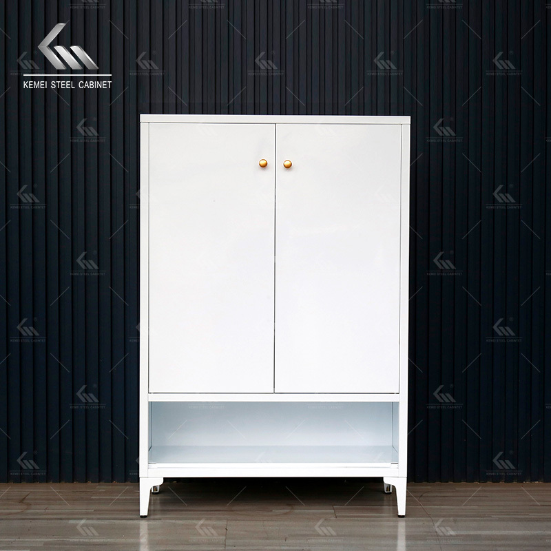 Modern 2 Door Home Cabinet Steel