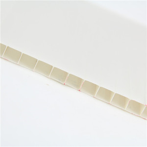 <span class=keywords><strong>Alemania</strong></span> <span class=keywords><strong>bayer</strong></span> 6mm danpalon hoja hueco del policarbonato - Product Image 5