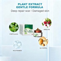 Crème de soins des brûlures de premiers soins Crème analgésique anti-infection Échaudure chinoise à base de plantes Soulager la douleur des tissus mous causée