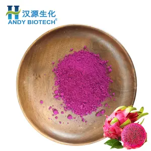 Factory Supply Red Organic Dragon Fruit Pink Powder Red Freeze-Dried Pitaya Powder