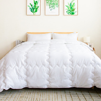 Doudoune matelassée douce toutes saisons 300GSM Insert de couette réversible Motif de matelassage unique