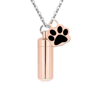 Kalung Gantungan Kalung untuk Wanita, Tempat Abu Tulang Hewan Peliharaan, Kristal, Baja Anti Karat, Kalung Gantung untuk Anjing, Liontin Kenangan - Product Image 6