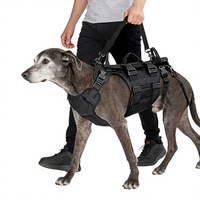 Harnais de sport pour chiens handicapés, en tissu Oxford imperméable, sangle de poitrine réglable, soutien à la rééducation, mobilité, soins aux animaux âgés