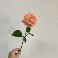 Fleurs artificielles K-0165 Real Touch Austin Rose, couleur pêche rose corail, décoration de mariage de luxe, décoration de la maison, vente en gros, tiges en vrac