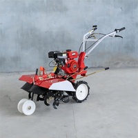 Motoculteur Rotatif Compact 170F 177F à Essence, Mini-Cultivateur Agricole, Mini-Machine à Labourer pour Ferme 7.5hp 9hp