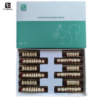 Dents en résine acrylique multicouche OEM d'usine, dents synthétiques en résine acrylique composite pour prothèses dentaires