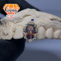 Grillz dentaire amovible en argent S925 pour une seule dent, avec peinture émail portrait et cadre de moissanite VVS, style Hip Hop