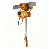 Palans électriques à chaîne monophasés 220V/380V, 1 tonne, 2 tonnes, 3 tonnes, télécommandés, pour le levage de marchandises en entrepôt