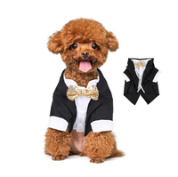 Vêtements pour animaux de compagnie confortables, légers, de luxe, personnalisés avec logo, en gros, collection 2025
