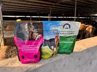 Lysina en Polvo de Alta Pureza Lanchen, Aditivo para Alimentación de Ganado Vacuno y Ovino, Potenciador de Engorde de Rumiantes, Aminoácidos de Grado Alimenticio