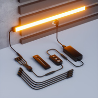 Bande lumineuse murale à diodes étanche IP67 24V Bande lumineuse à diodes néon entièrement noire 2700K à 6500K Température Lumière murale décorative