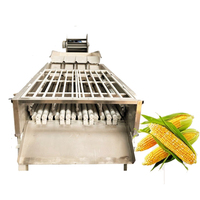 Automatische was- en drooglijn voor fruit en groenten met luchtdroger