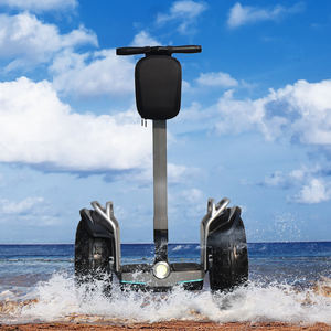 <span class=keywords><strong>Gyropode</strong></span> 3000w avec grande roue de 19 pouces, scooter électrique tout-terrain auto-équilibré, scooter sportif à deux roues - Product Image 3