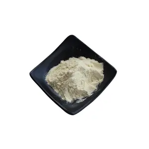 Wholesale Bulk Astragaloside IV 98% Astragalus Root Extract Powder