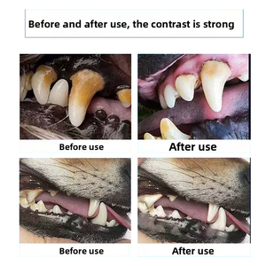 Spray Bucal Refrescante para Mascotas de Marca Privada para Perros y Gatos, Cuidado Bucal Natural, Elimina el <span class=keywords><strong>Mal</strong></span> <span class=keywords><strong>Aliento</strong></span>, Spray Dental - Product Image 5