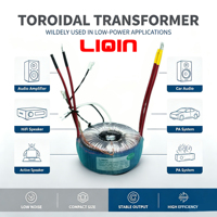 Transformateur audio toroïdal à faible bruit, monophasé, en cuivre pur, personnalisé pour amplificateur HiFi, haut-parleur actif, tension VA personnalisée