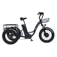 도매 높은 품질 3 휠 성인 배터리 전원 전기 tricycles 성인 세 바퀴 triciclo electrico trike 판매