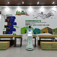 Robot de Marketing Interactif : Assistant d'Accueil Intelligent avec Écran Ultra-Large pour la Publicité et la Génération de Prospects dans les Centres Commerciaux