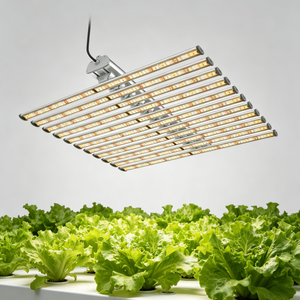 Lámpara LED de Cultivo de Espectro Completo Gavita Pro 1700e de 12 Barras, 660W, 720W, 1000W, 2000W, para Plantas, de Fábrica China <span class=keywords><strong>LUX</strong></span> - Product Image 3