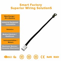 Arnés de Cableado Aislado de Silicona de Precisión para Instrumentación IoT y Circuitos de Control de Sensor de Temperatura Sensible