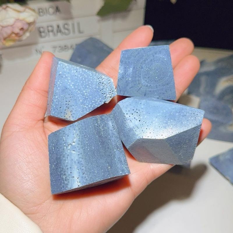 ปะการังสีฟ้า