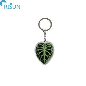 Móc Khóa Acrylic Chất Lượng Cao Giá Rẻ Bán Buôn Móc Khóa Hình Lá Cọ Monstera Màu Xanh Lá Cây Chìa Khóa Acrylic Nhựa Cây Trồng Logo Tùy Chỉnh - Product Image 2