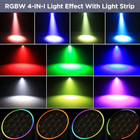 Meistverkaufter OEM 19*15W LED Wash Moving Head Scheinwerfer mit 2-in-1 Flightcase Auto/Sound/DMX Professionelle DJ Disco Bühnenbeleuchtung